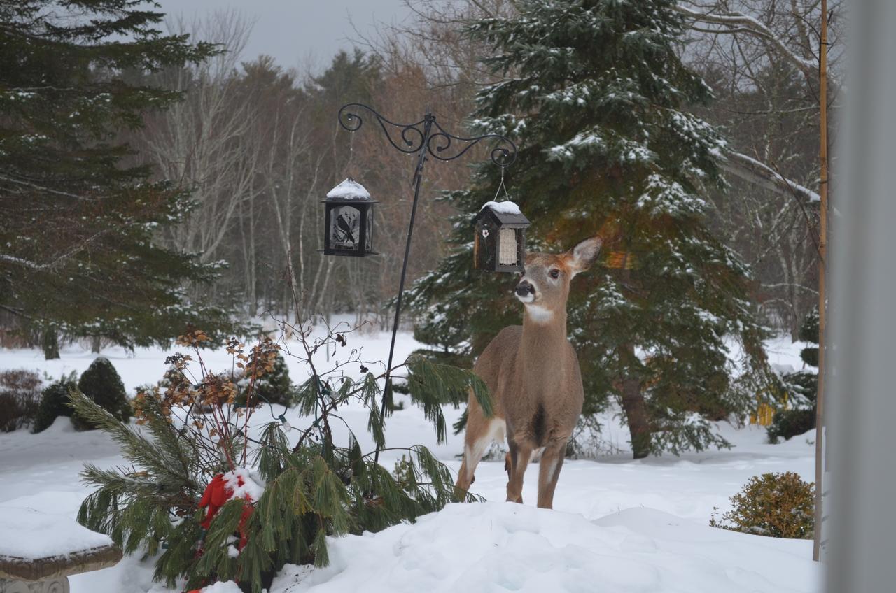 Briarwood Bed & Breakfast Elmsdale Quarto foto