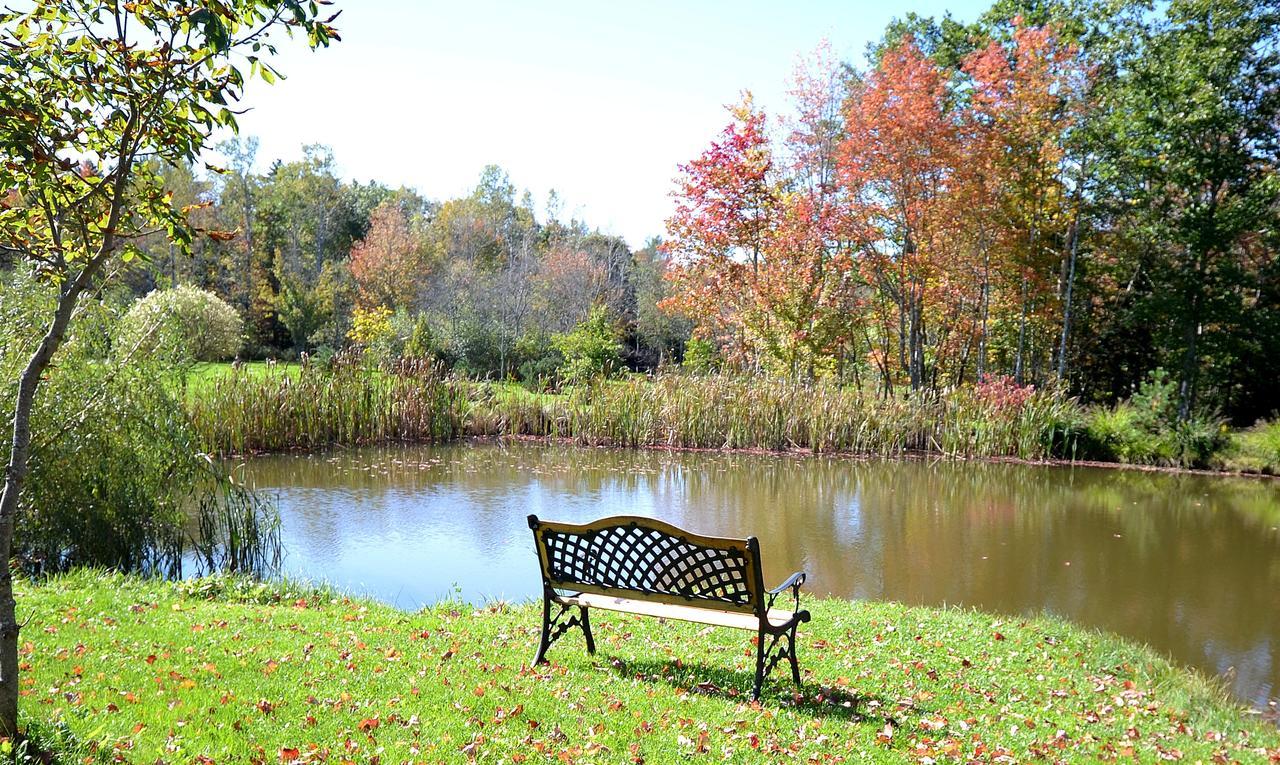 Briarwood Bed & Breakfast Elmsdale Quarto foto