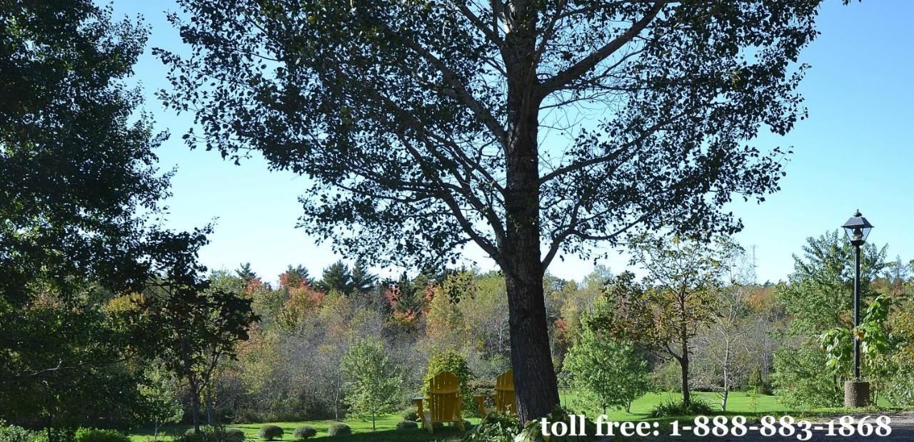 Briarwood Bed & Breakfast Elmsdale Quarto foto